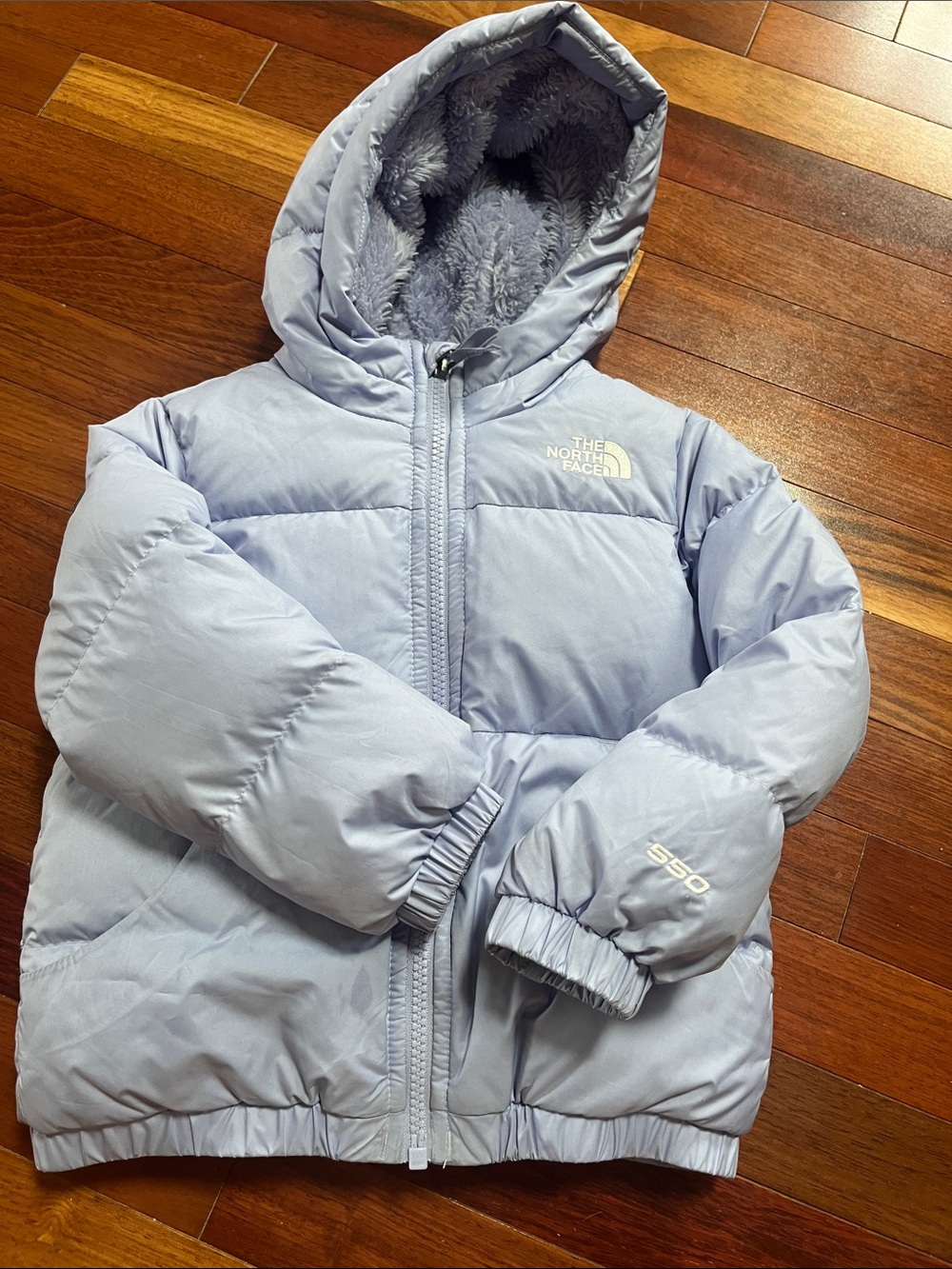 The North Face Pale Blue Insulated Hooded Puffer Jacket